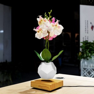 magnetisk levitation flytande växt kotte luft bonsai PA-0708