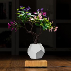magnetisk levitating flytande botten luft bonsai pot planteringsmaskiner PA-0708
