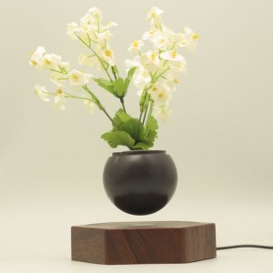 trä magnetisk levitating flytande luft bonsai krukväxter PA-0720