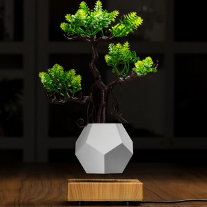 ny träbasisk magnetisk levitation botten flyte air bonsai potten plantering